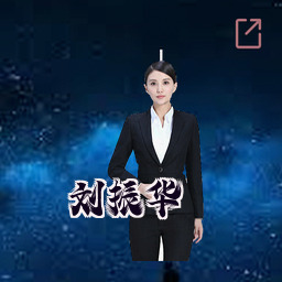 刘振华